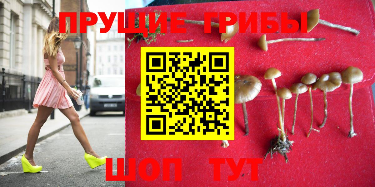 Галлюциногенные грибы мухоморы Кемерово