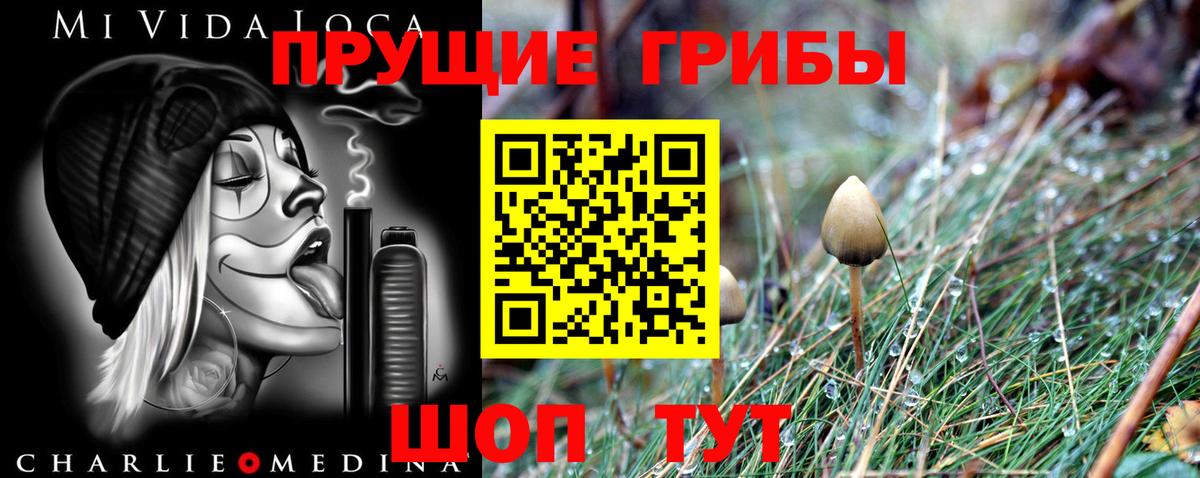 Кемерово  Псилоцибиновые грибы Cubensis  Вход с VPN  Галлюциногенные грибы Magic Shrooms 